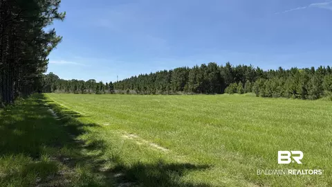 0 County Road 87, Elberta, AL 36530 photo 37