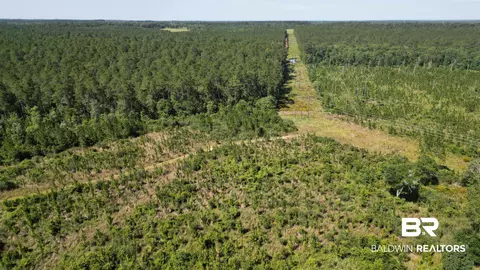 0 County Road 87, Elberta, AL 36530 photo 11