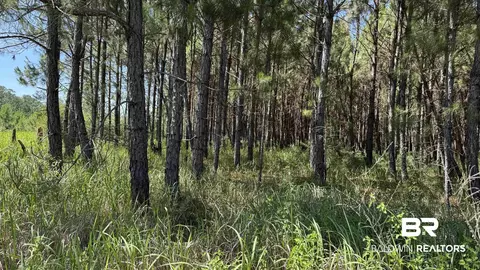 0 County Road 87, Elberta, AL 36530 photo 32