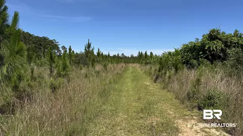 0 County Road 87, Elberta, AL 36530 photo 42