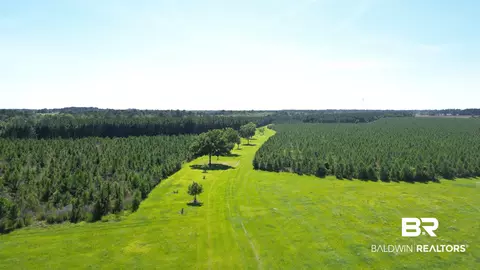 0 County Road 87, Elberta, AL 36530 photo 2