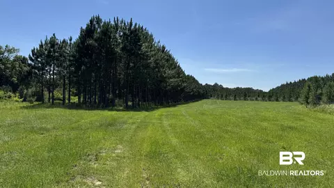 0 County Road 87, Elberta, AL 36530 photo 36