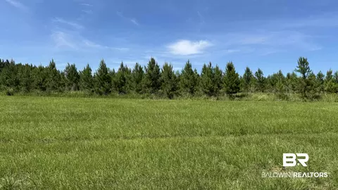 0 County Road 87, Elberta, AL 36530 photo 38