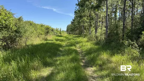 0 County Road 87, Elberta, AL 36530 photo 28