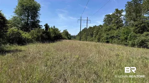 0 County Road 87, Elberta, AL 36530 photo 29
