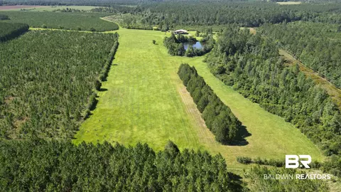 0 County Road 87, Elberta, AL 36530 photo 6