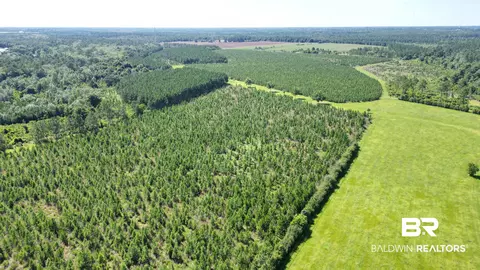 0 County Road 87, Elberta, AL 36530 photo 18