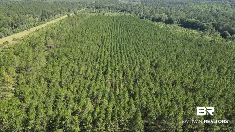 0 County Road 87, Elberta, AL 36530 photo 17