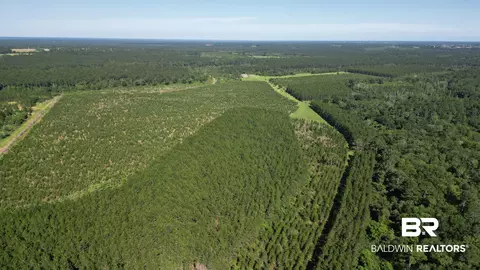 0 County Road 87, Elberta, AL 36530 photo 46