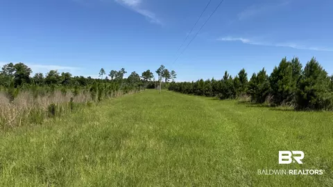 0 County Road 87, Elberta, AL 36530 photo 41