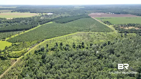 0 County Road 87, Elberta, AL 36530 photo 7
