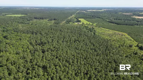 0 County Road 87, Elberta, AL 36530 photo 16