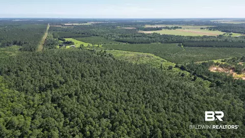 0 County Road 87, Elberta, AL 36530 photo 15