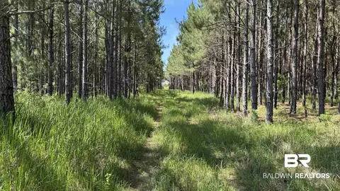 0 County Road 87, Elberta, AL 36530 photo 33