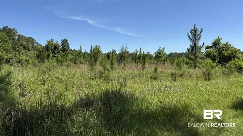 0 County Road 87, Elberta, AL 36530 photo 31