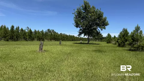 0 County Road 87, Elberta, AL 36530 photo 35