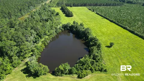 0 County Road 87, Elberta, AL 36530 photo 3