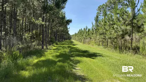 0 County Road 87, Elberta, AL 36530 photo 39