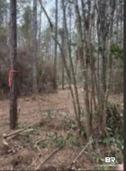 Undisclosed, Mobile, AL 36608 photo 9