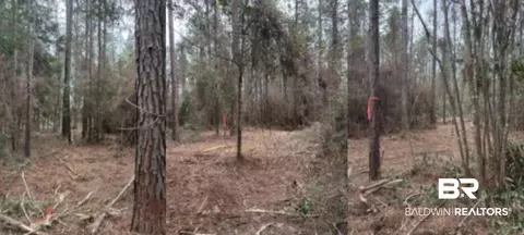 Undisclosed, Mobile, AL 36608 photo 7