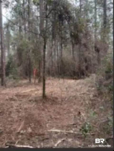 Undisclosed, Mobile, AL 36608 photo 8