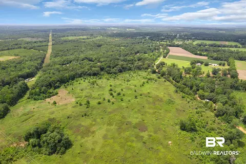 0 Barton Rd, Monroeville, AL 36460 photo 7