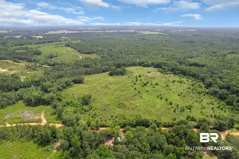 0 Barton Rd, Monroeville, AL 36460 photo 24
