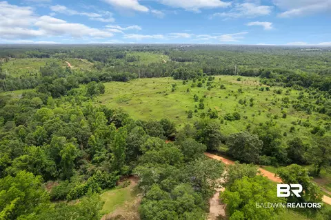0 Barton Rd, Monroeville, AL 36460 photo 28