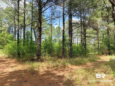 18251 Cactus Ct, Elberta, AL 36530 photo 30