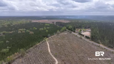 Mosley Road, Stapleton, AL 36578 photo 3