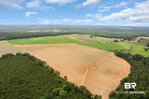 1 Old Stage Rd, Repton, AL 36475 photo 11