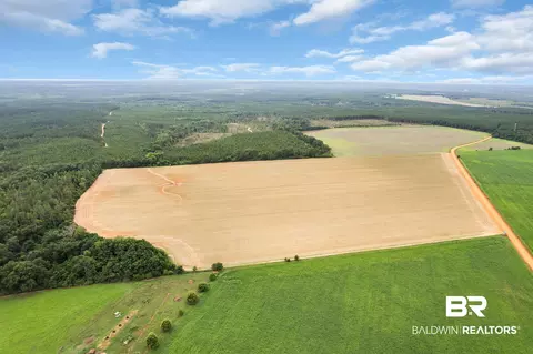 1 Old Stage Rd, Repton, AL 36475 photo 13