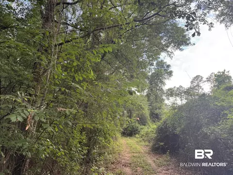 1 Old Stage Rd, Repton, AL 36475 photo 3