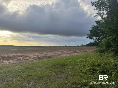 1 Old Stage Rd, Repton, AL 36475 photo 6