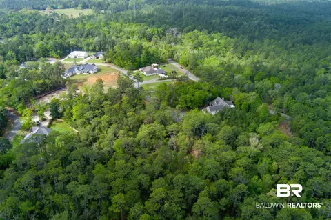 0 Cedar Trce, Theodore, AL 36582 photo 17