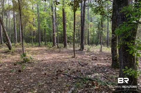 0 Cedar Trce, Theodore, AL 36582 photo 3