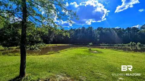 6648 Saint Stephens Ave, Millry, AL 36558 photo 46
