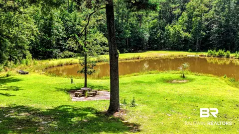 6648 Saint Stephens Ave, Millry, AL 36558 photo 45