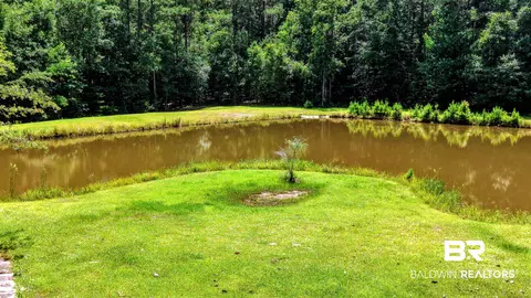 6648 Saint Stephens Ave, Millry, AL 36558 photo 44
