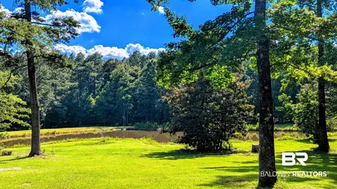 6648 Saint Stephens Ave, Millry, AL 36558 photo 48