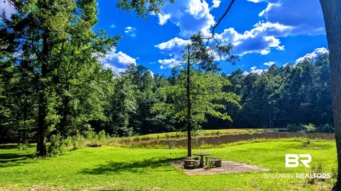 6648 Saint Stephens Ave, Millry, AL 36558 photo 47