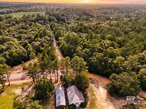 0 Doyle Morgan Rd, Samson, AL 36477 photo 17