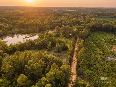 0 Doyle Morgan Rd, Samson, AL 36477 photo 8