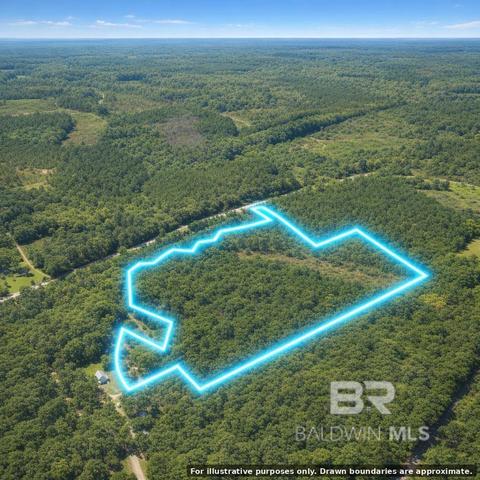 0 Doyle Morgan Rd, Samson, AL 36477