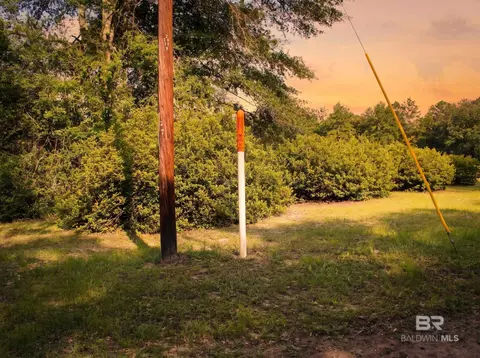 0 Doyle Morgan Rd, Samson, AL 36477 photo 10