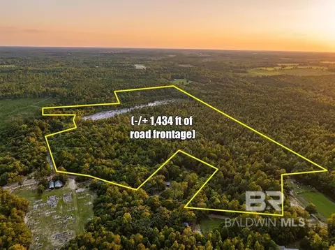 0 Doyle Morgan Rd, Samson, AL 36477 photo 4