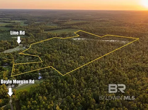 0 Doyle Morgan Rd, Samson, AL 36477 photo 6