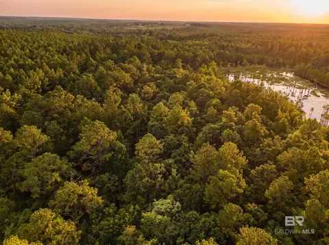 0 Doyle Morgan Rd, Samson, AL 36477 photo 9