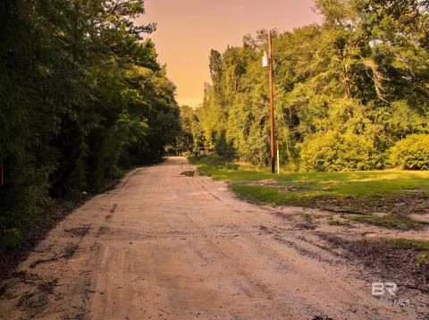 0 Doyle Morgan Rd, Samson, AL 36477 photo 12