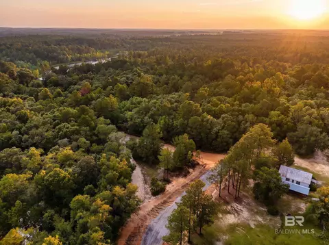 0 Doyle Morgan Rd, Samson, AL 36477 photo 19